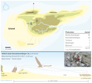 infographic Nature Today